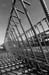 Frey_03