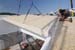 Frey_79